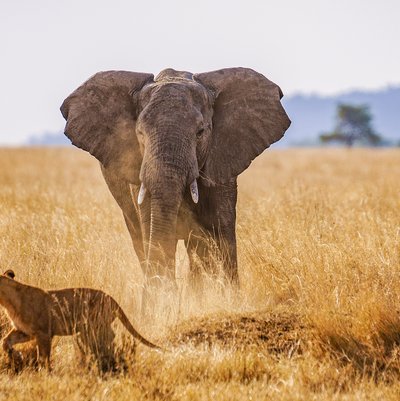 Serengeti National Park