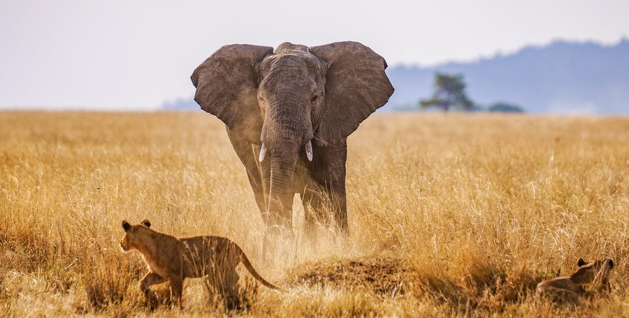 Serengeti National Park