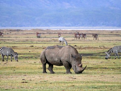 Ngorongoro Conservation Area