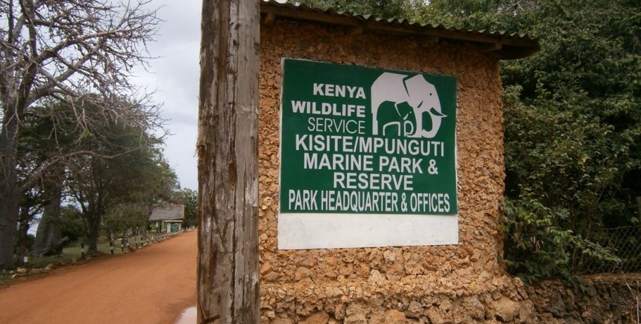 Kisite Mpunguti Marine Park