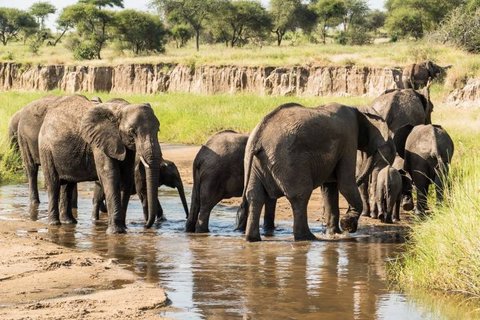 5 TAGE LAKE MANYARA, NGORONGORO, TARANGIRE