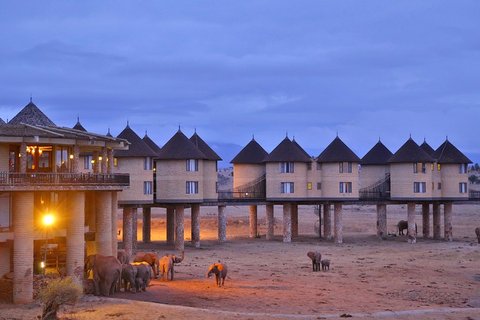 3-TÄGIGE MOMBASA-TSAVO-OST- UND SALTLICK-SAFARI