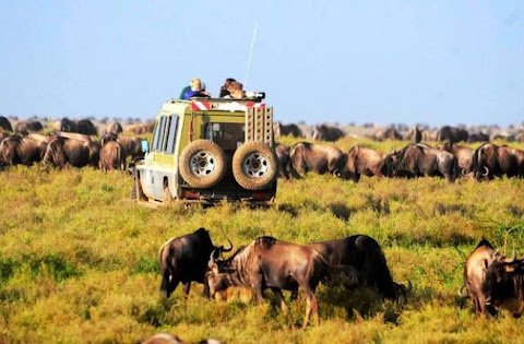 4-tägige Camping-Safari Tarangire – Ngorongoro und Serengeti